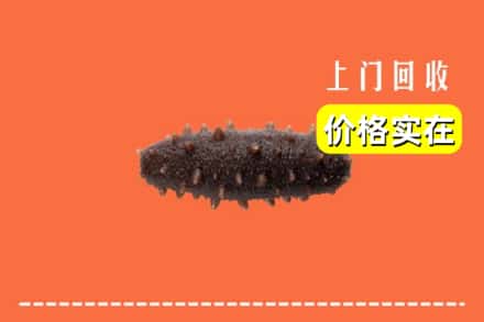 收购资讯:牡丹江西安区回收海参