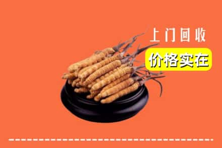 牡丹江西安区回收冬虫夏草