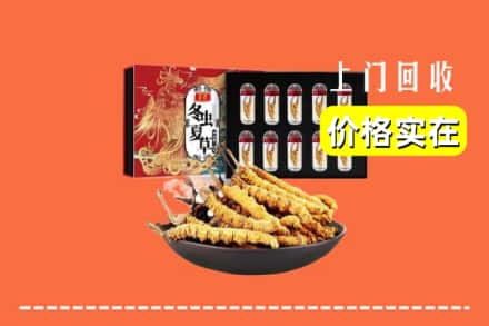 牡丹江西安区回收虫草
